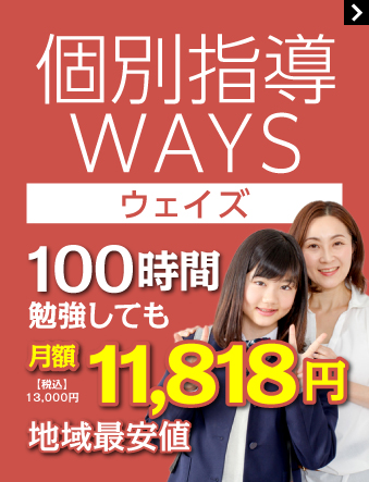 個別指導WAYS